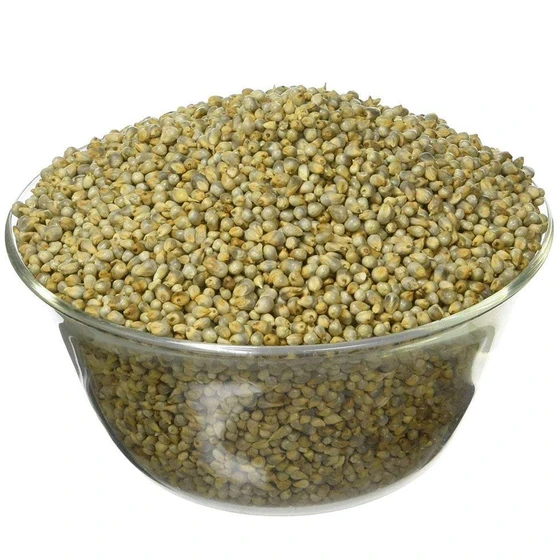5734-hybrid-bajra-seed-2.webp