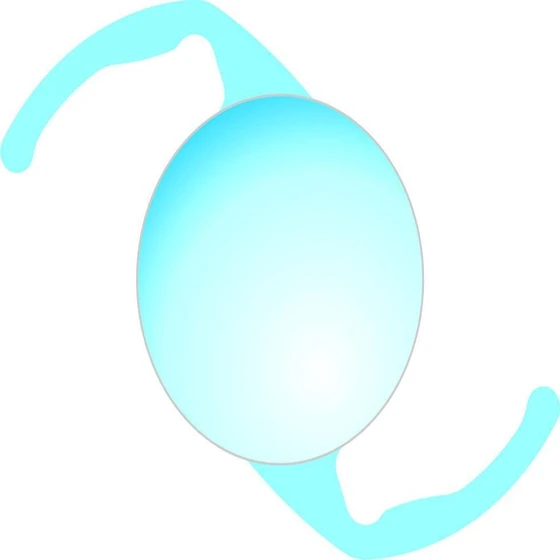 Optic Clear Lens — Spherical shape 0 0 0 1mm
