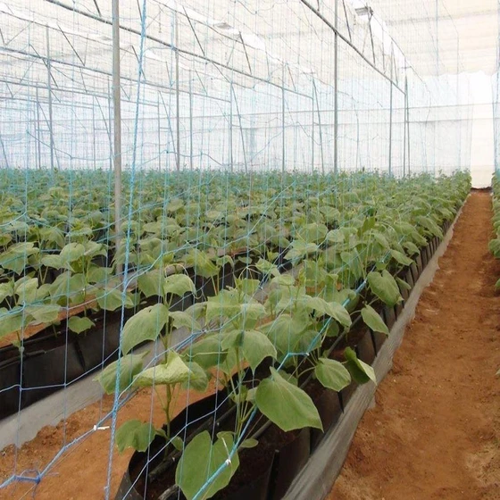 floriculture-shade-net-1.webp