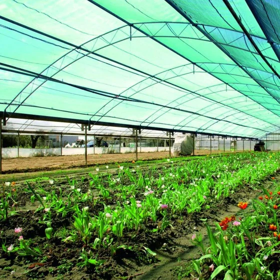 floriculture-shade-net-2.webp