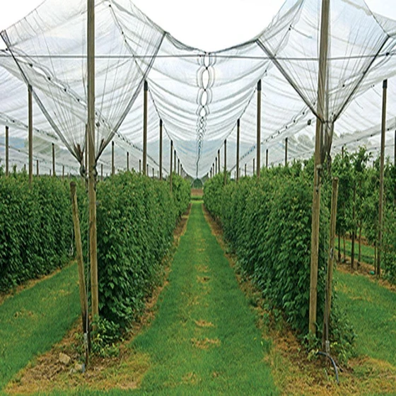 Anti Hail Net — Insect protection agricultural