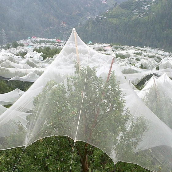 anti-hail-net-2.webp