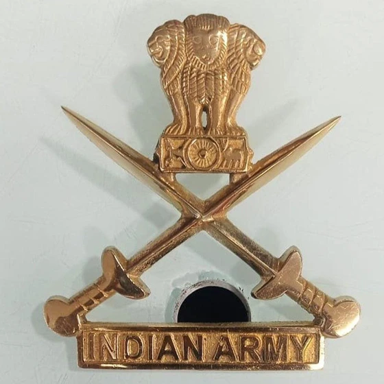 Army Brass Badge — painted plated polished