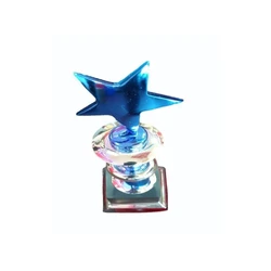 Blue Star Award 