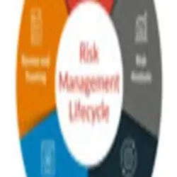Enterprise Risk Management, Type of Service Contract As Per Requirement of Client