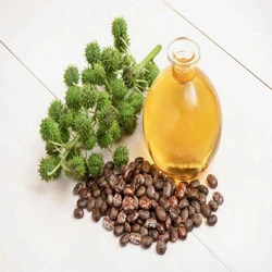 Castor Carrier Oil