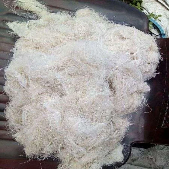 organic-cotton-waste-2.webp