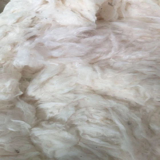 textile-raw-cotton-1.webp