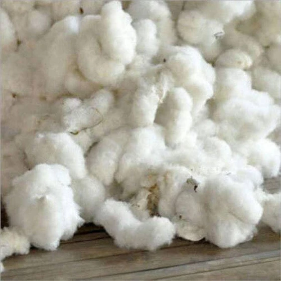 Pure Raw Cotton — Sustainable Feature White