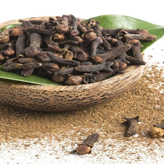 common-clove-seeds-2.webp