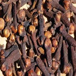 Natural Cloves Seed