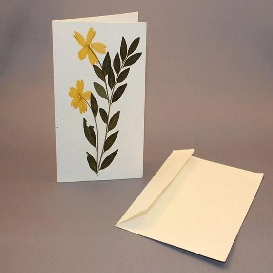 white-greeting-card-2.webp