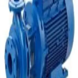 1000 Pump, Capacity Up to 3000 LPM