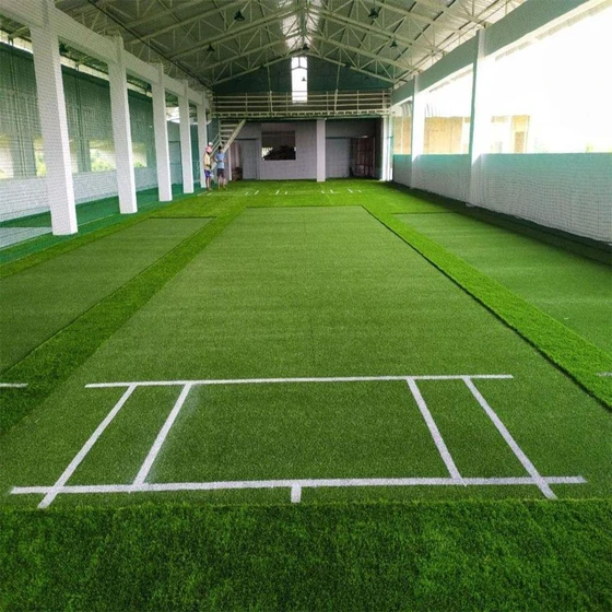 Turf Cricket Pitch — Multipurpose sports use