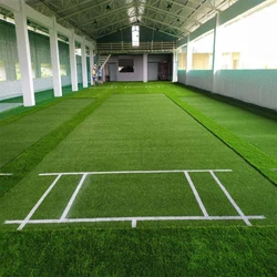 Turf Cricket Pitch