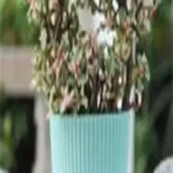 Flower Pots For Home Decoration, Color Orange
