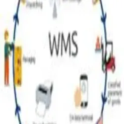 Web Based Data Management System- WDMS, Service Duration 3 Months