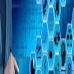 Management Consulting Services, Service Location pan india