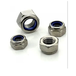 Ss Nylock Nut