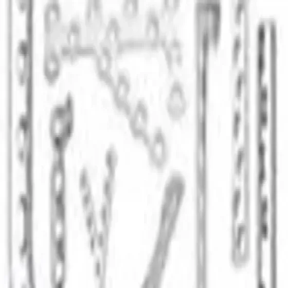 manufacturers-orthopedic-implant-M4xefNlK.webp