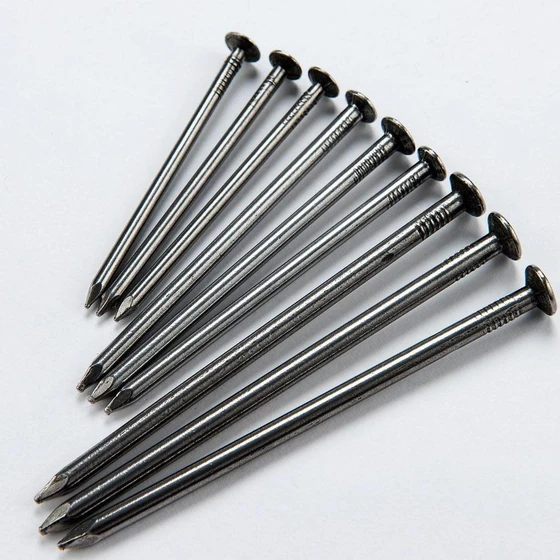 common-wire-nail-1.webp