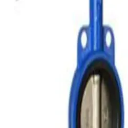 Sanitary Valve, Material Stainless Steel