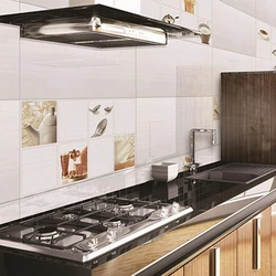 Multicolor Kitchen Floor Tiles