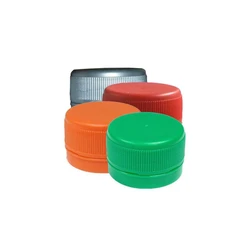 Bottle Dual Seal Cap