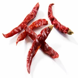Dried Chilli Capsicum