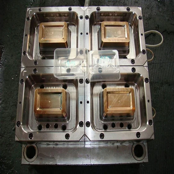 polished-container-mould-2.webp