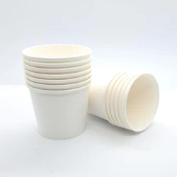 Disposable Paper Cup