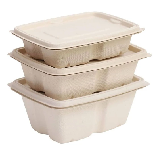 disposable-food-container-2.webp