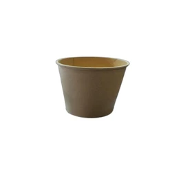 Craft Paper Container