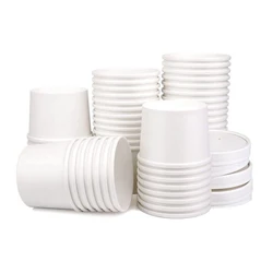 White Paper Soup Cup