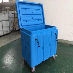 Dry ice storage box