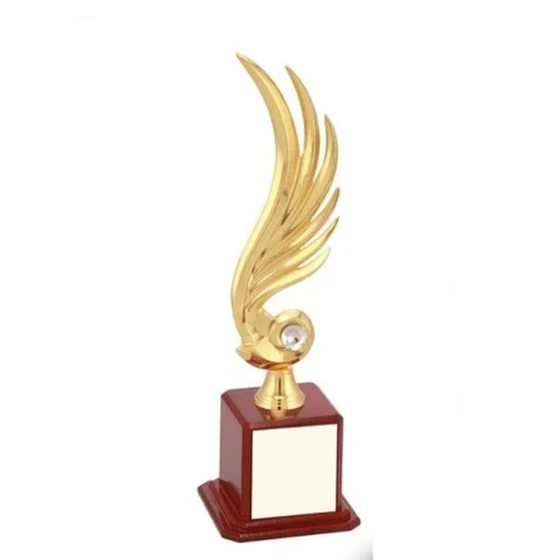 Metal Award Trophies — Golden color sports usages