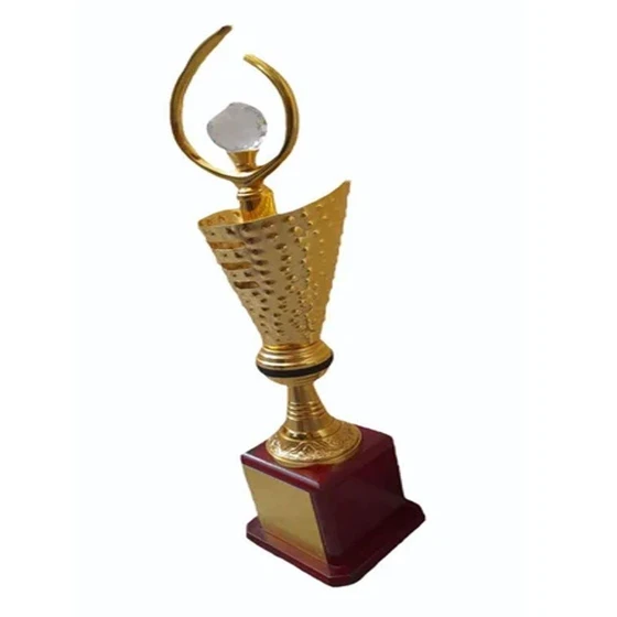 corporate-award-trophy-2.webp