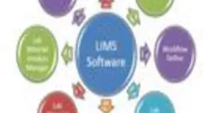 Software Solutions, Programming Language NET