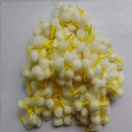 yellow-cotton-wicks-2.webp