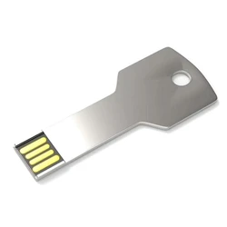 Pen Drive Key Shape 