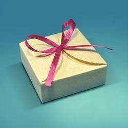 Gift SquarePackaging Box