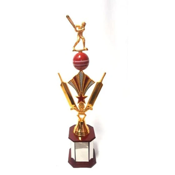 Cricket Copper Trophies — Promotion trophy