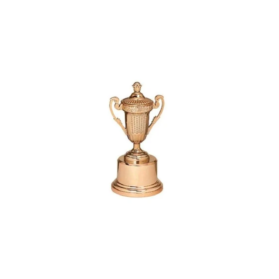 cricket-copper-trophies-2.webp