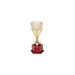 Diamond Trophies Cup 