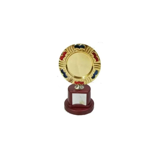 Golden Plate College Awards — 120 290mm size