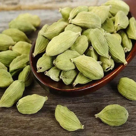 green-large-cardamom-1.webp