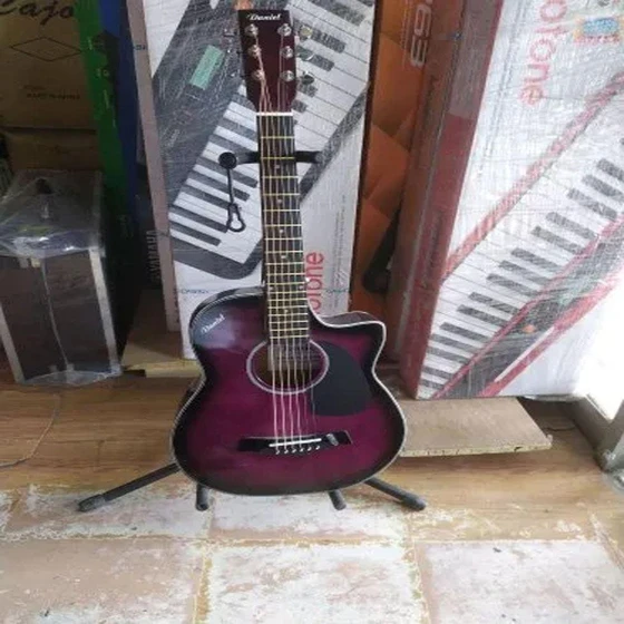 Multicolor Daniel Guitars — Scientific wood