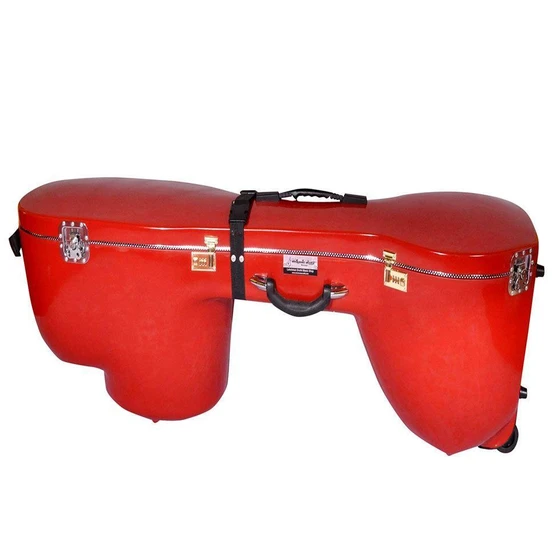 Fiber Veena Case — Polished surface finishing