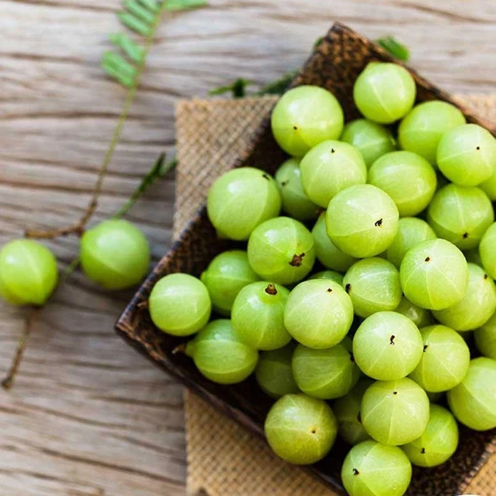 amla-protein-1.webp