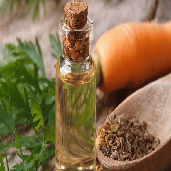 Seed Carrot Oil — Pale yellow liquid massage